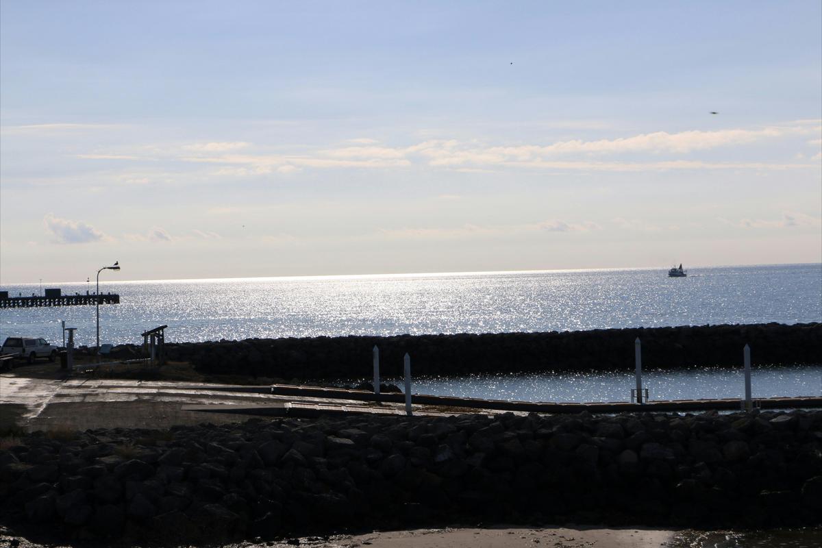 View from park
