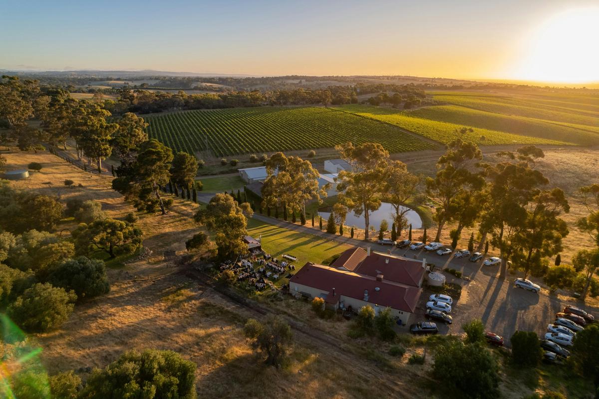 overhead winery image