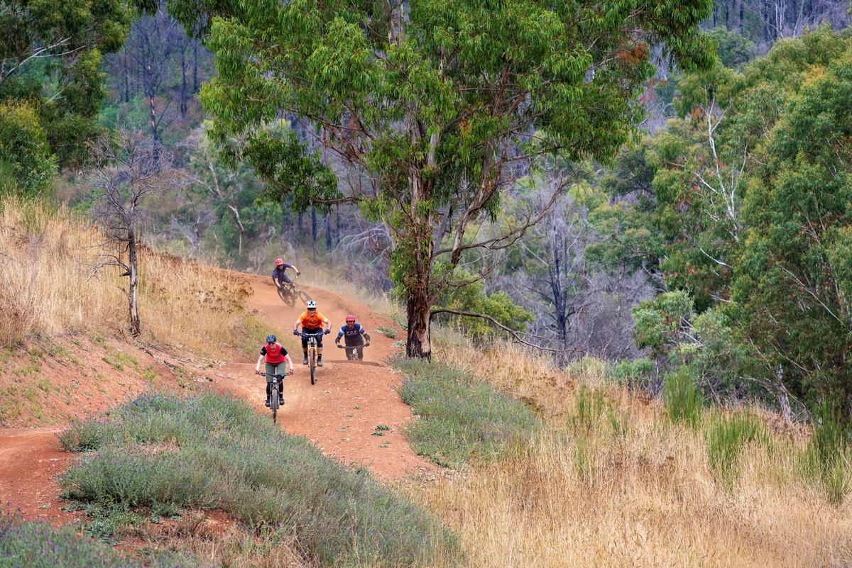 Fox Creek Bike Park MTB Shuttles
