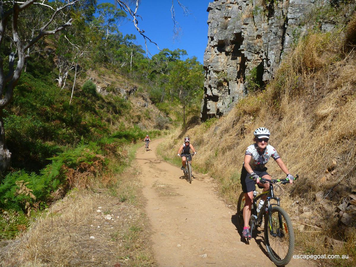 Mount Lofty to Adelaide E-Bike Experience (Private Tour)