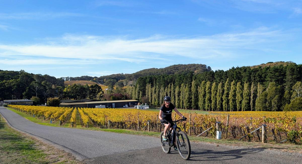 Self Guided eBike Winery Tour