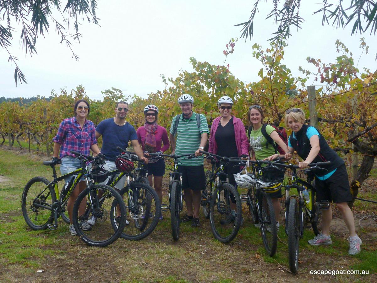 Ride through the vines