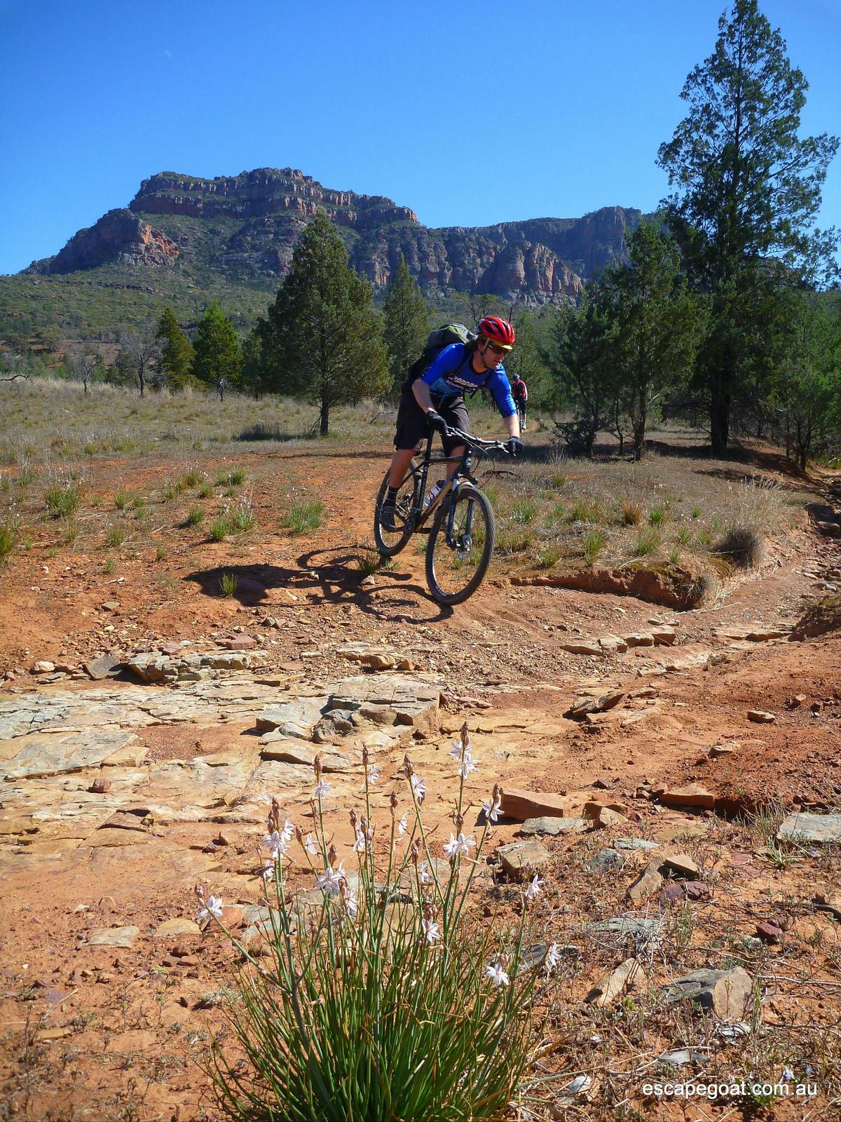 flinders ranges by bike