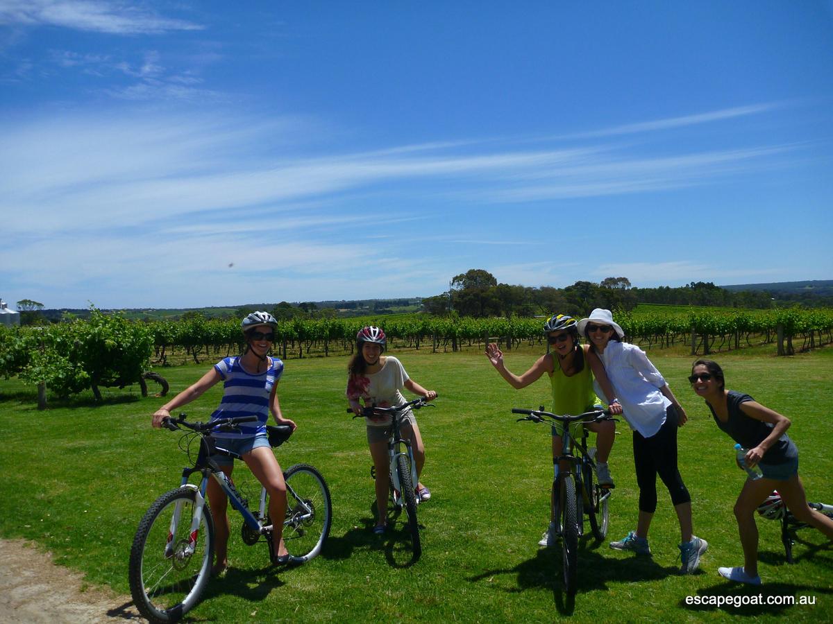 McLaren Vale E-Bike Wine Tour (Private Experience)