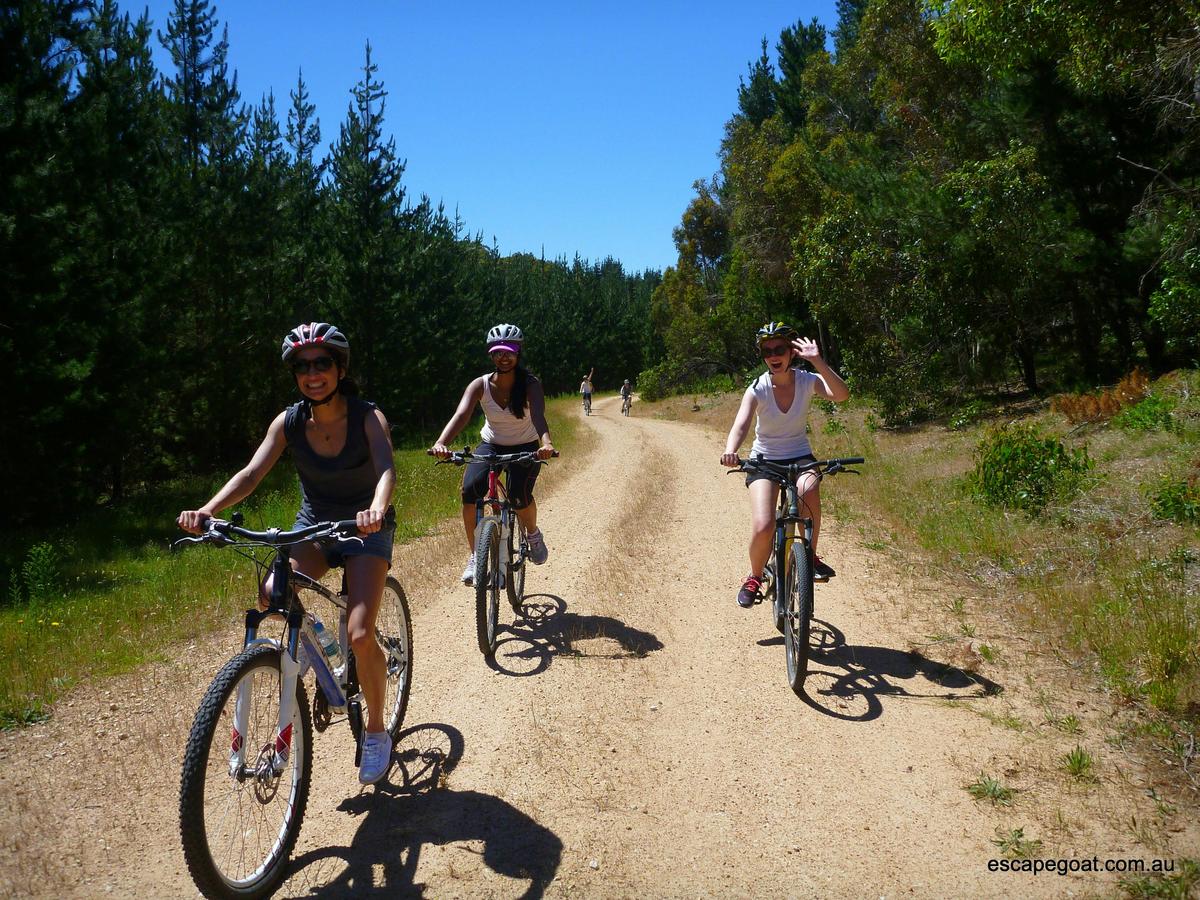 Adelaide Hills by Mountain Bike- Private Guiding