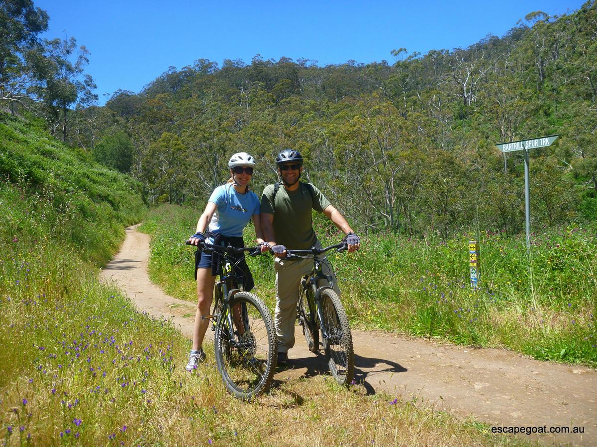 Mount Lofty to Adelaide E-Bike Experience (Private Tour)