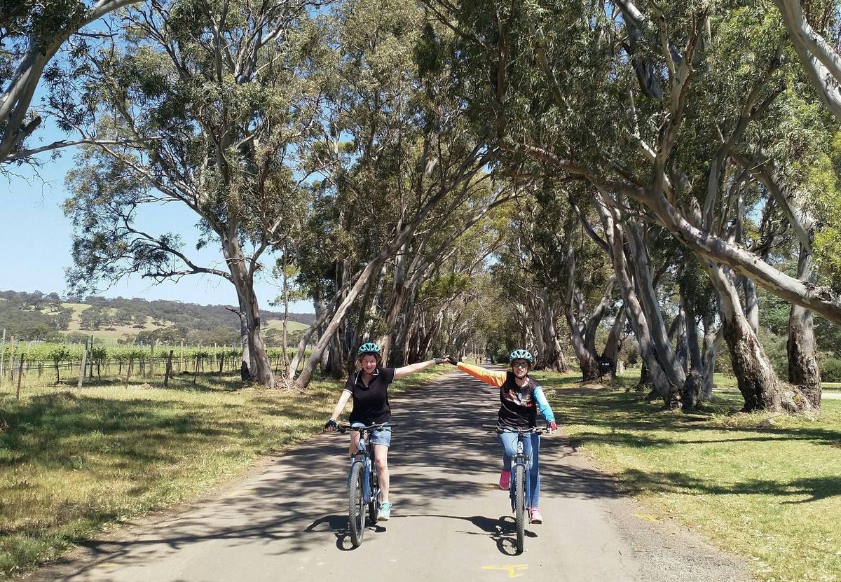 McLaren Vale E-Bike Wine Tour (Private Experience)