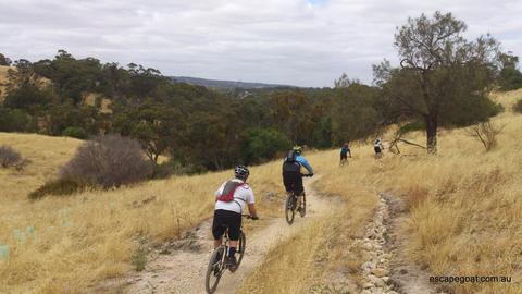 Adelaide Hills by Mountain Bike- Private Guiding