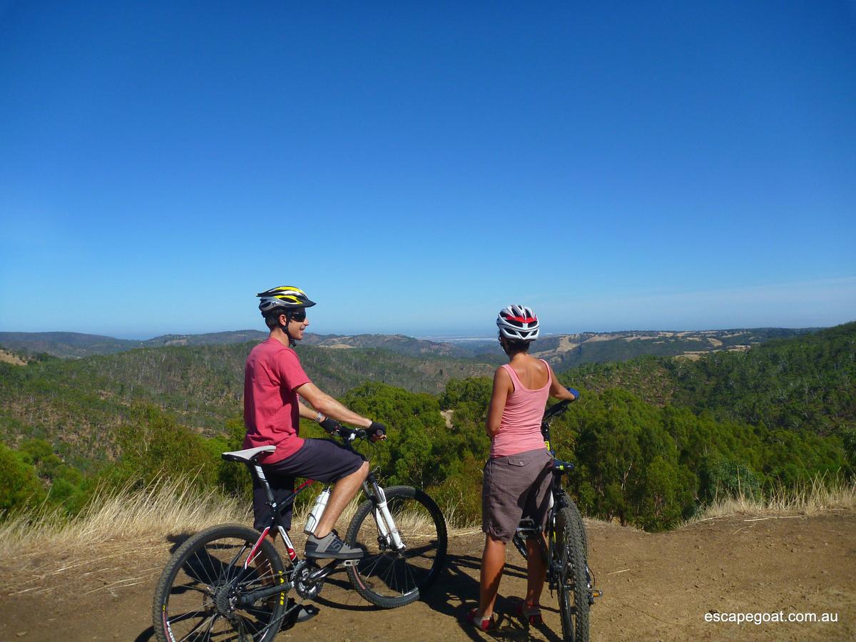 Adelaide Hills by Mountain Bike- Private Guiding