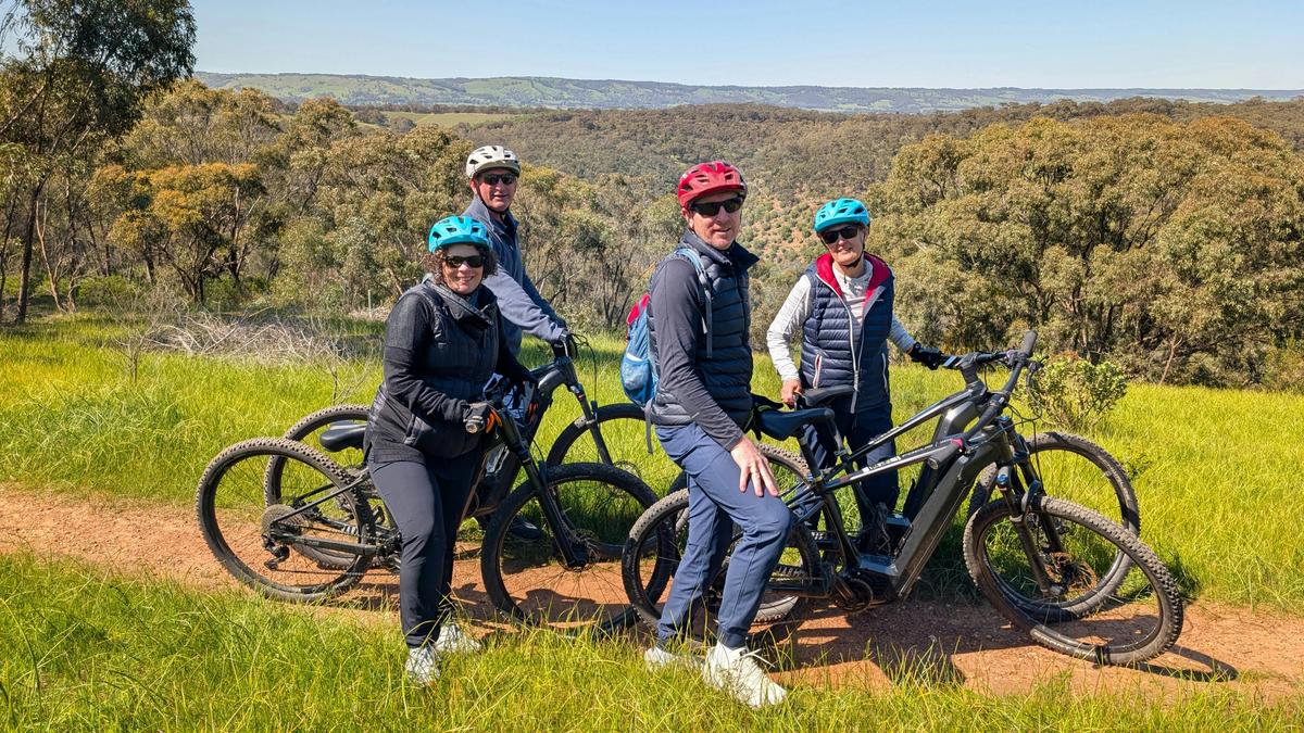 McLaren Vale E-Bike Wine Tour (Private Experience)