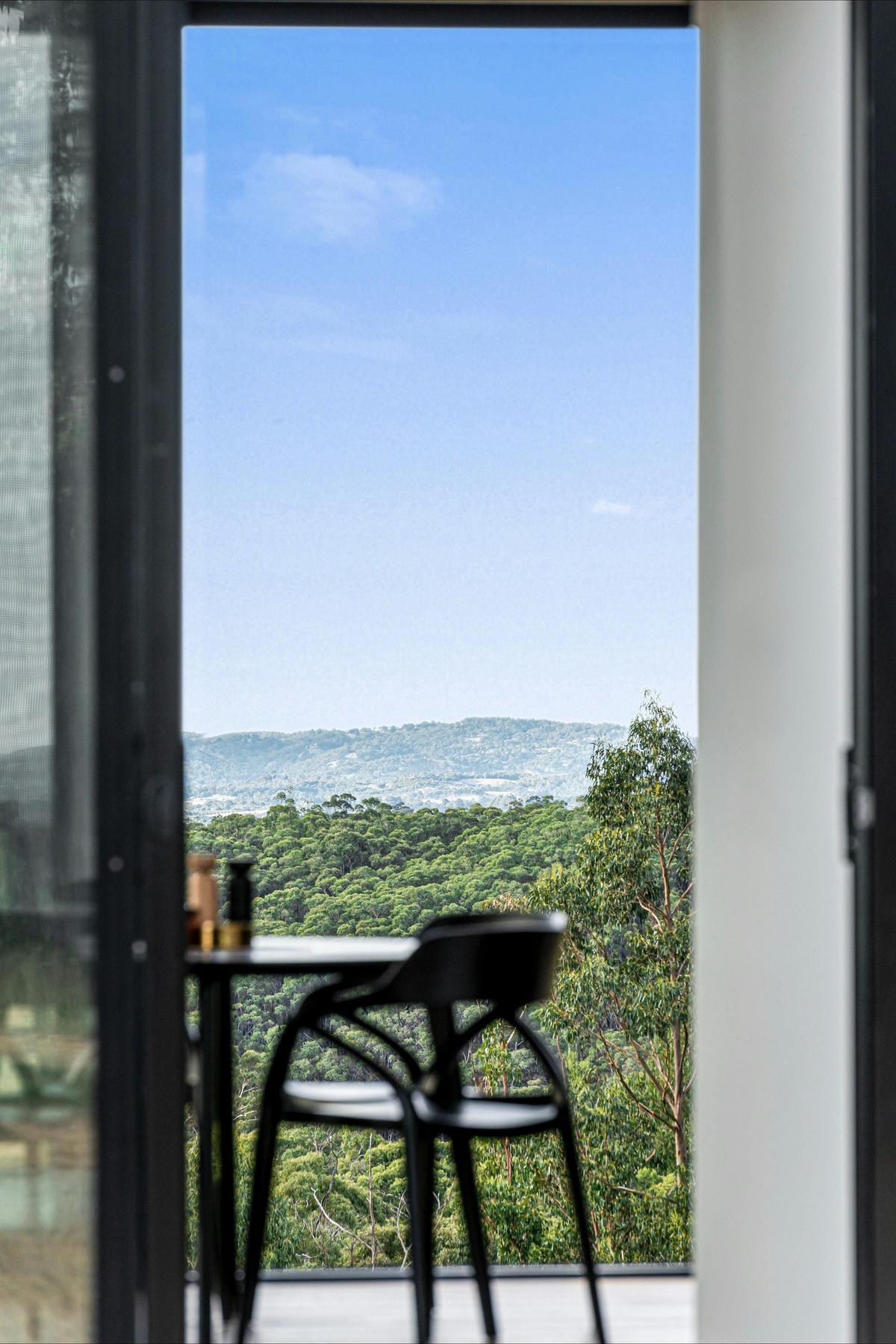 View from Dining