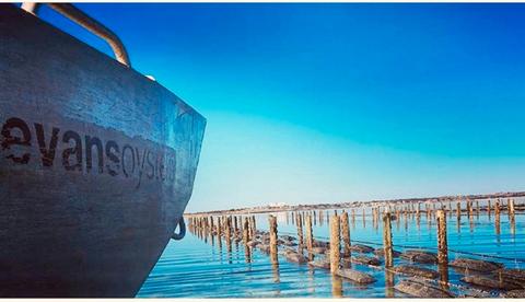 Evans Oysters – Streaky Bay