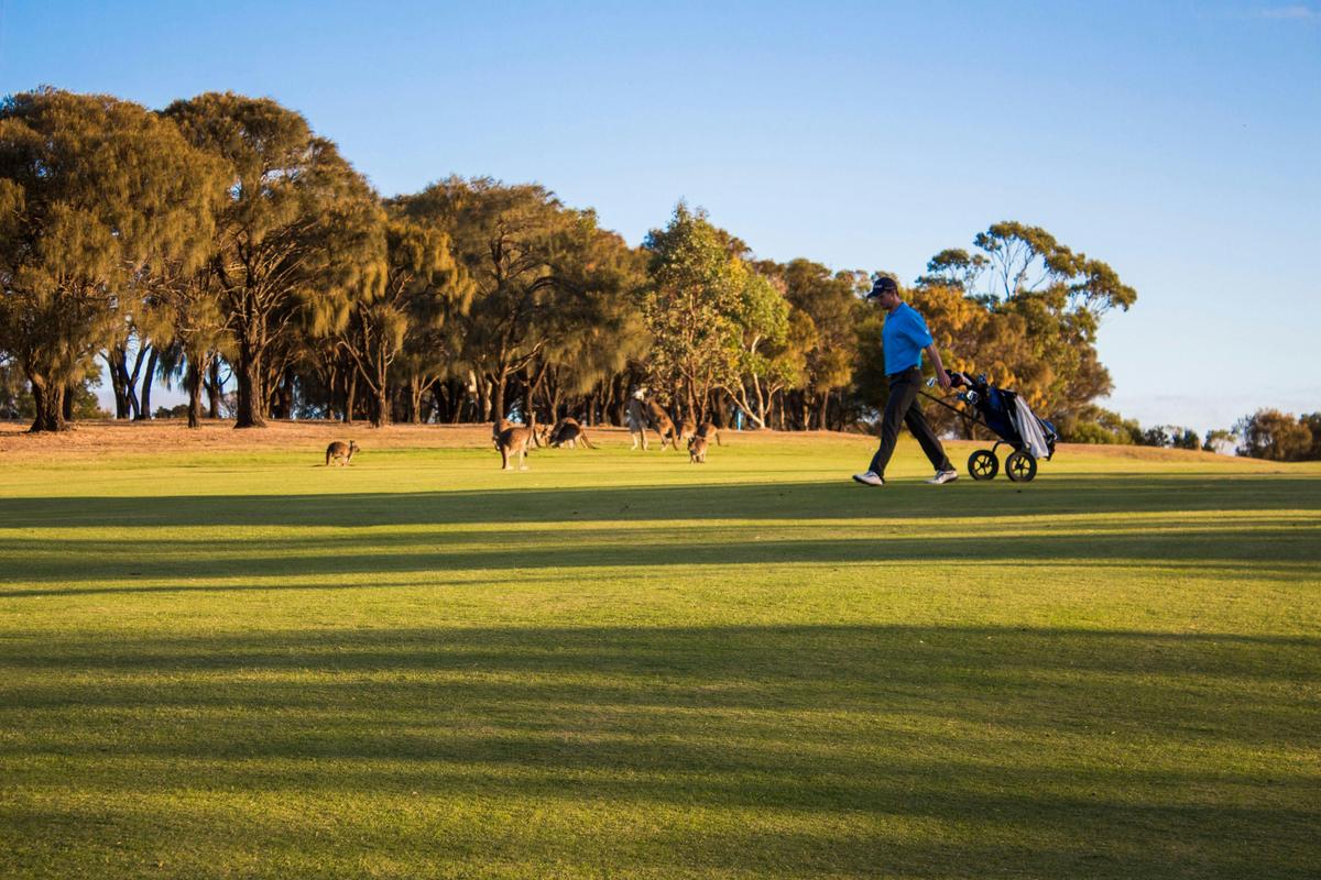 Golf and Wine Tour
