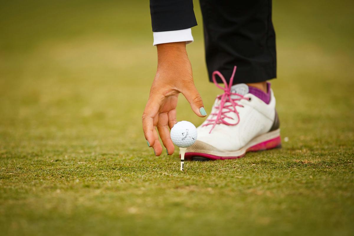 Golf and Wine Tour