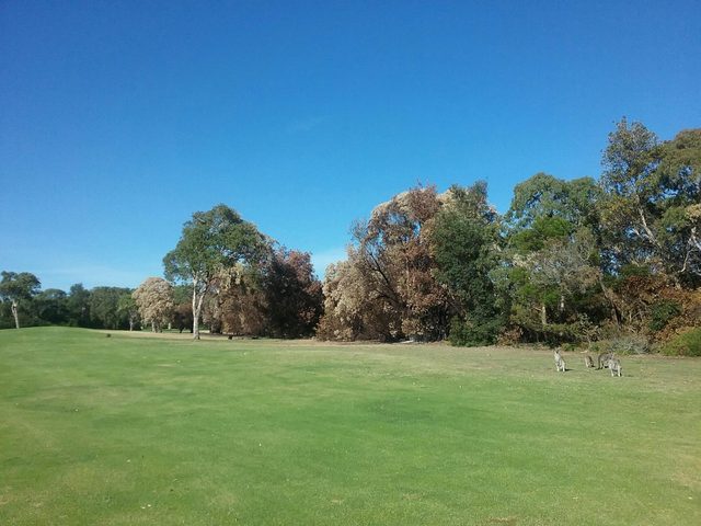 Tathra Beach Country Club