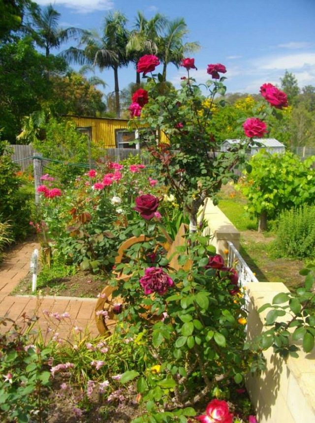 Tinonee Heritage Walk