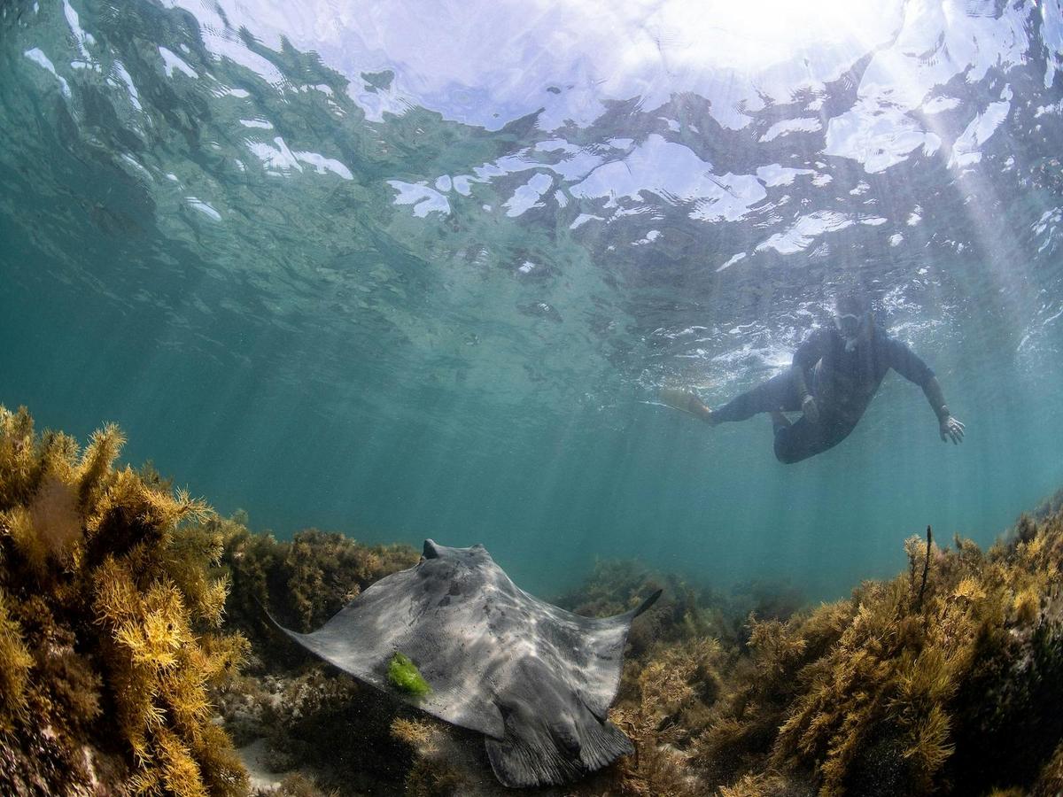 Snorkel with EMS, Experiencing Marine Sanctuaries