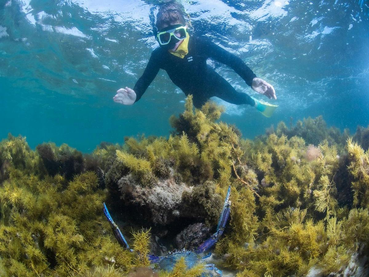 snorkel with EMS
