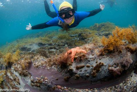 Guided Snorkel Tour