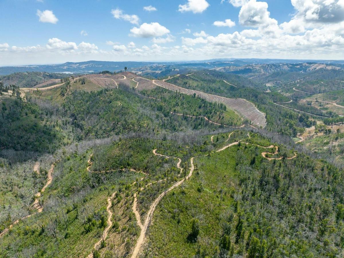 Aerial View - Fox Creek