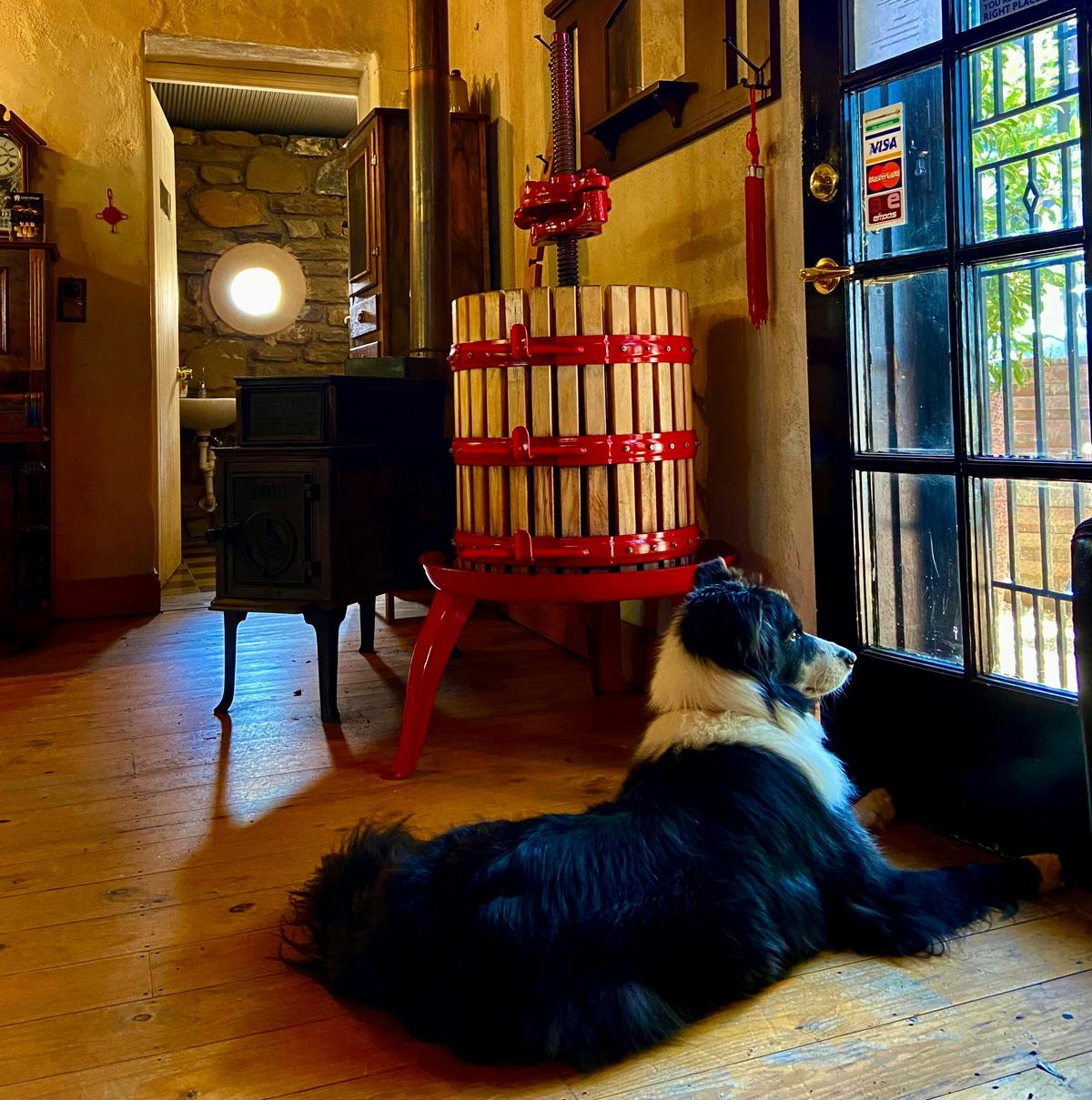 Cellar Press