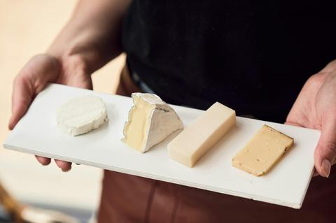 Udder Delights Cheese Tasting Tile