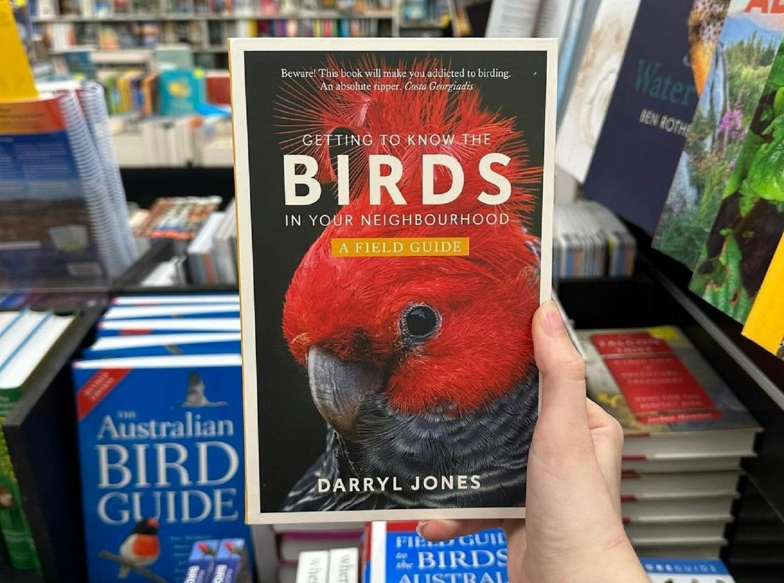 Learn all about birds
