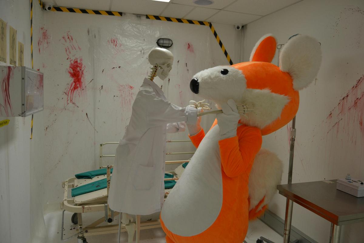 Fox in a Box Adelaide - Its just fun and games!