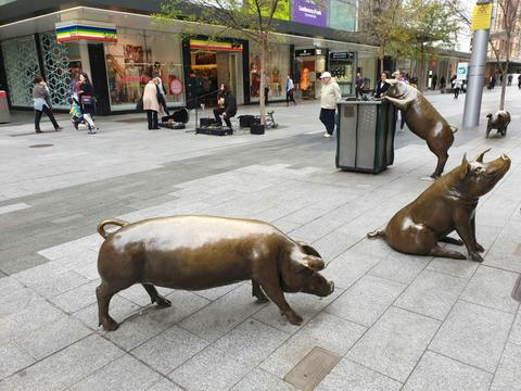 Welcome To Adelaide Walking Tour