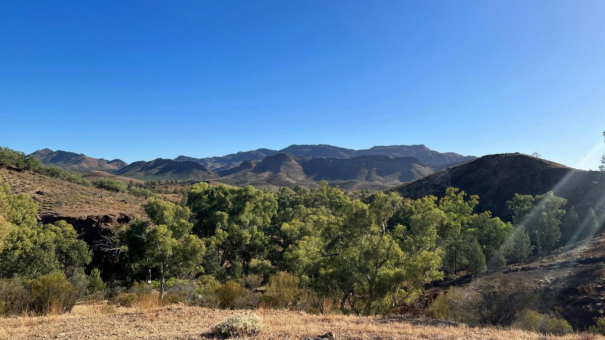 The Northern Flinders Ranges taken from Angorichina Village on the Parachilna Gorge Road