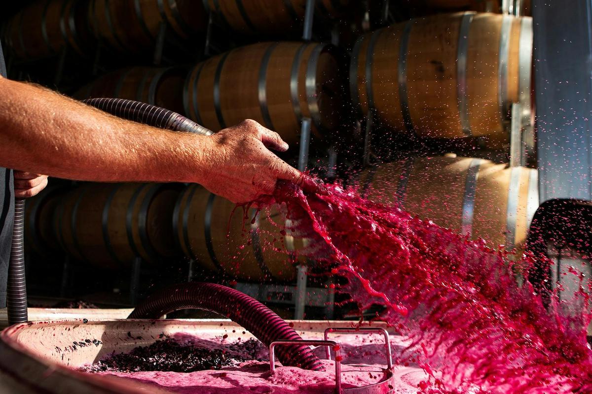 A taste of Vintage at Gibson