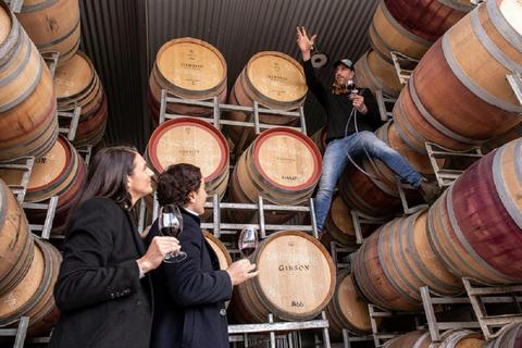 Gibson Wines Experiences