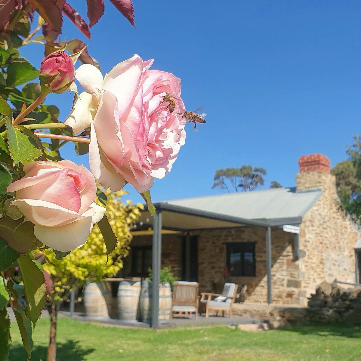 Fernfield Wines
