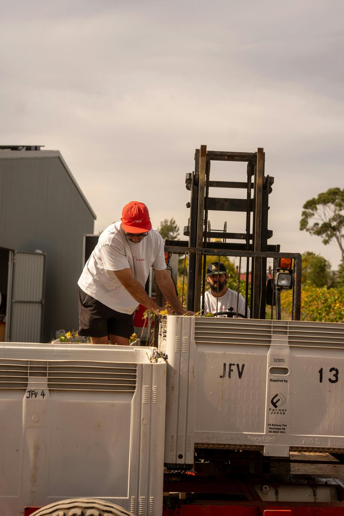 Barossa Valley wine experience at Forage Supply Co.