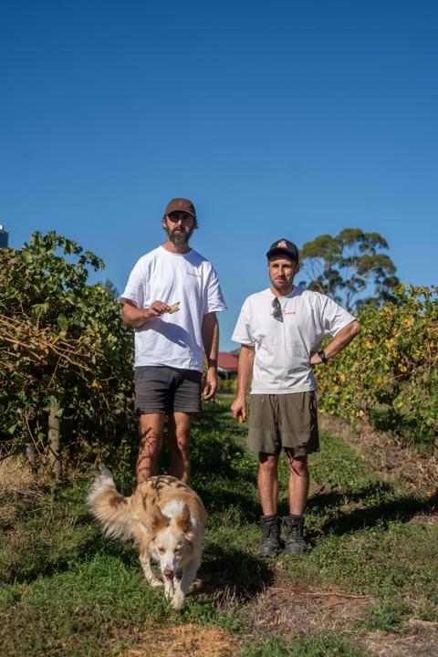 Forage Supply Co. Experiences