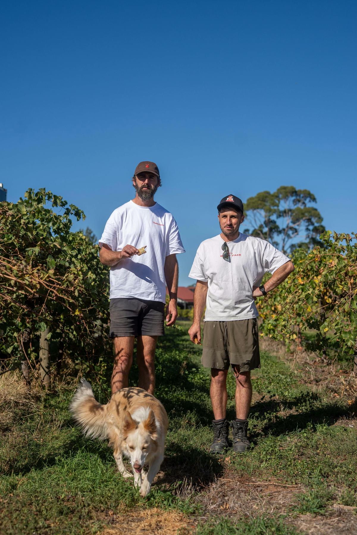 Boutique Barossa Valley winery producing estate-grown wines.