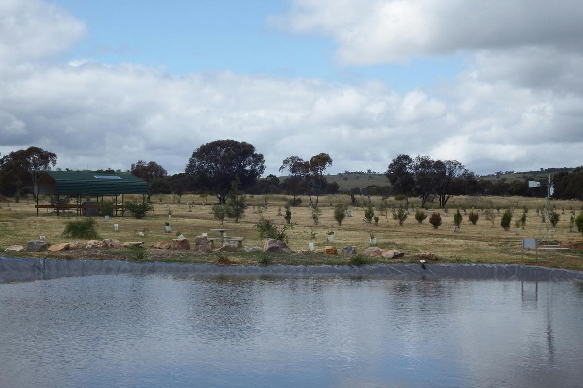 Sprawling nature reserve with a dam, BBQ area and walking areas
