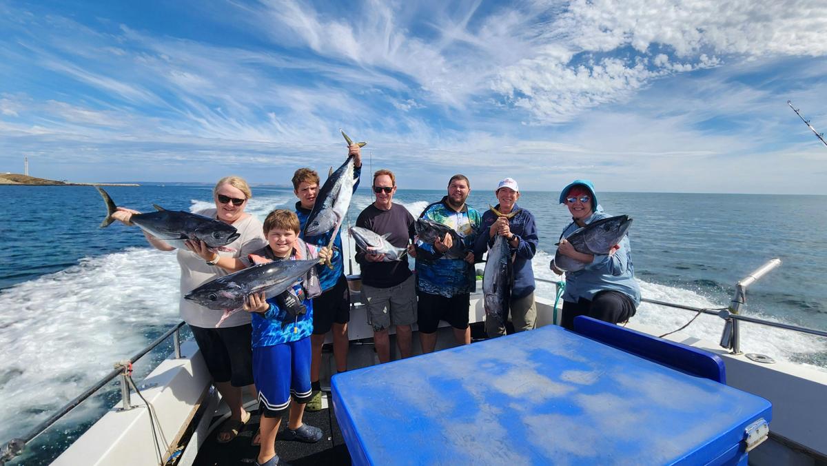 Tuns fishing from Wirrina