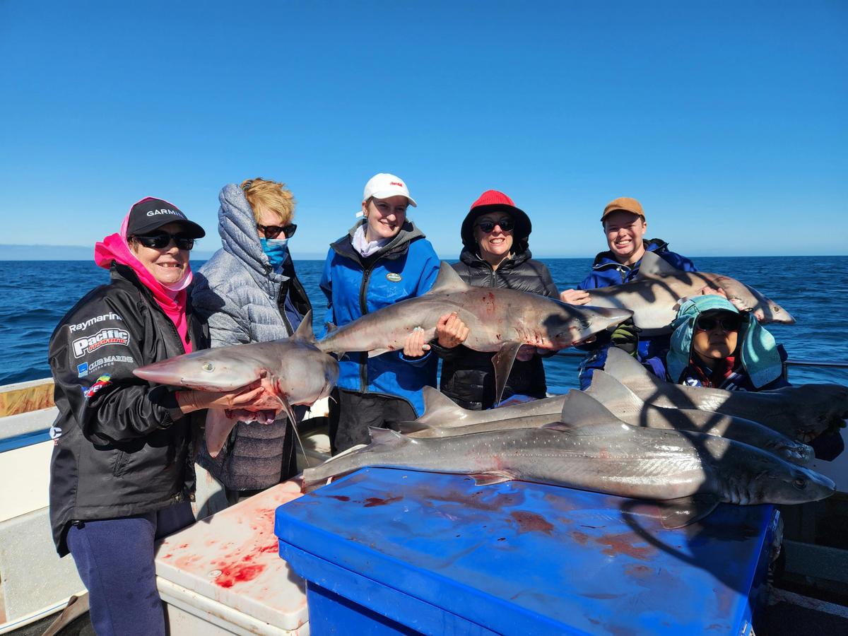 Let's go fishing - your new corporate adventure.