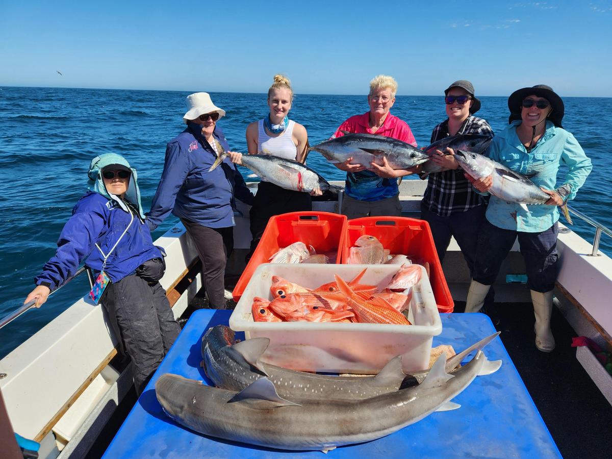 A big variety Fishing from South Australia. Sharks, Nannygai, Tuna and Snapper