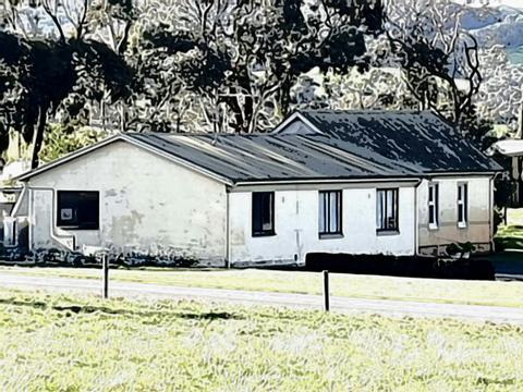 Frog Swamp Gallery