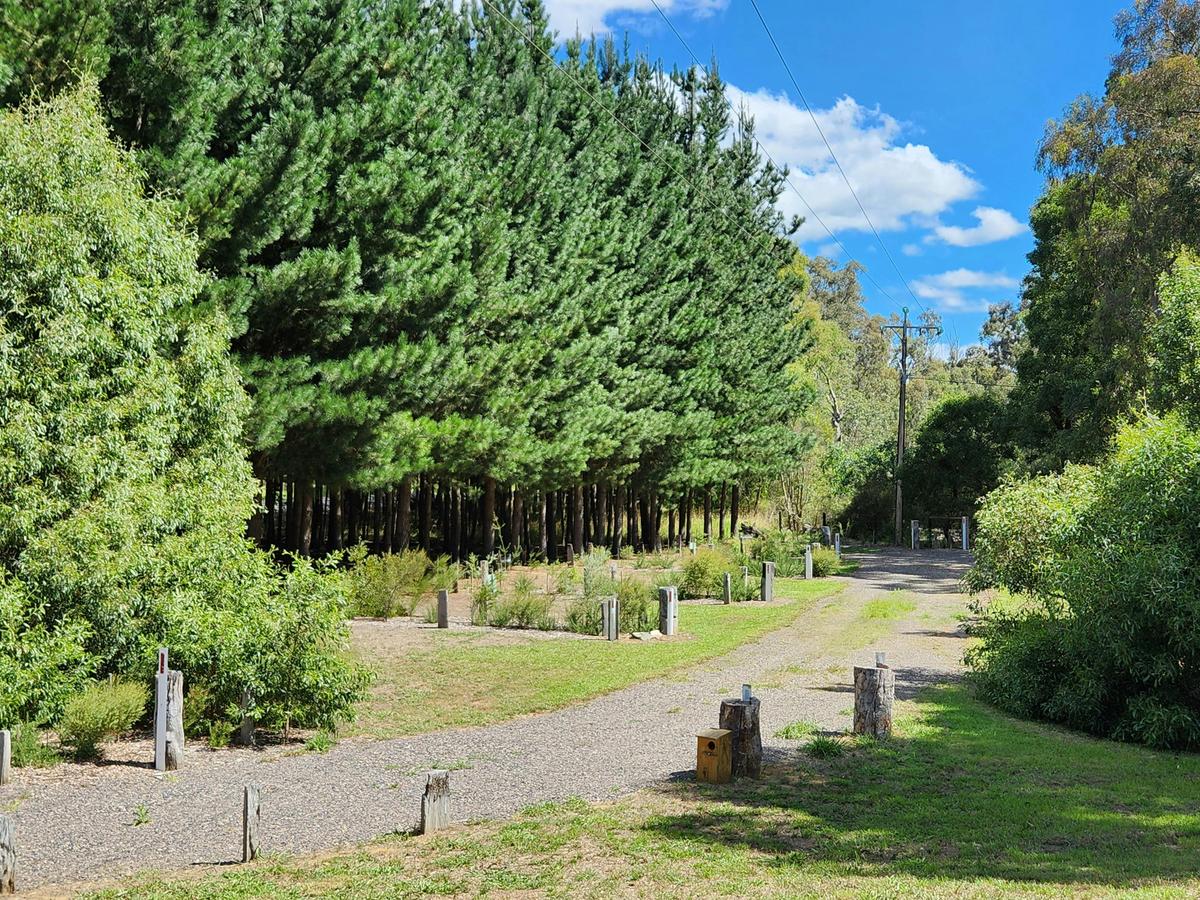 RV Sites 3-7 are accessible through a loose stone road. Sites are separated by native flora.