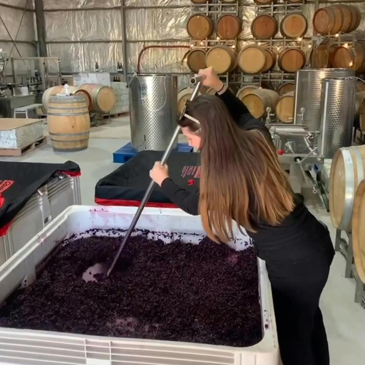 Winery Tour & Barrel Tasting