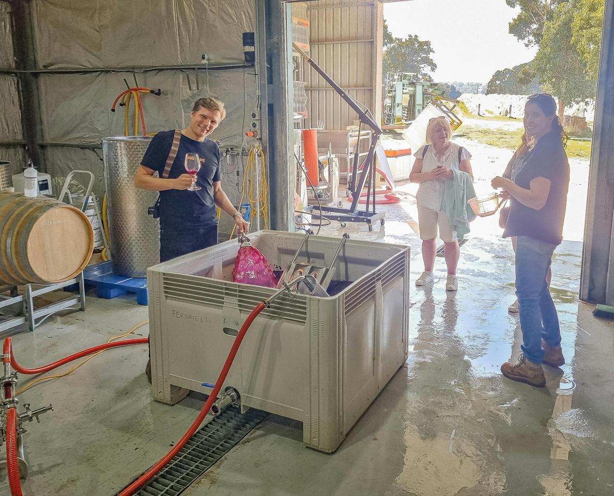 Winery Tour & Barrel Tasting