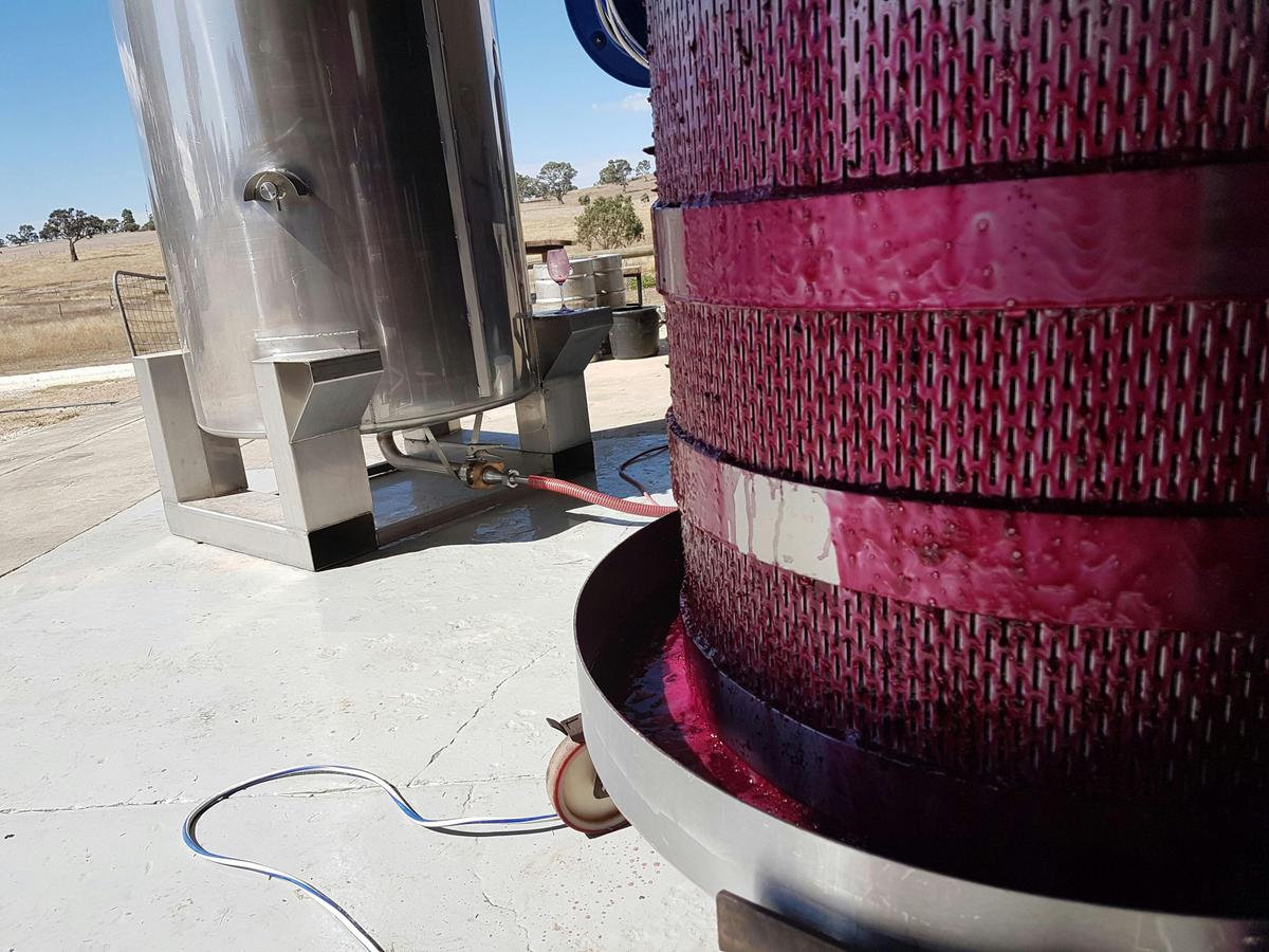 Winery Tour & Barrel Tasting