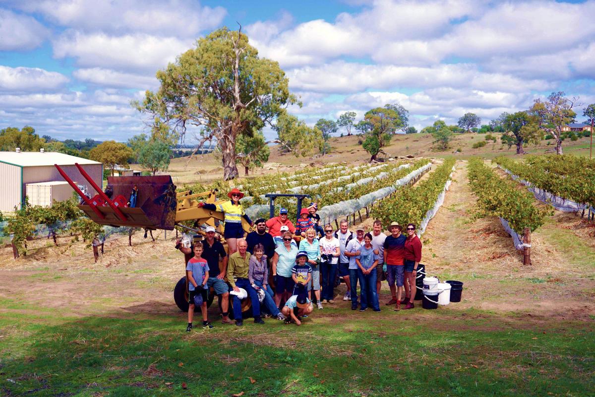 A group enjoying our 'Be the Winemaker' experience
