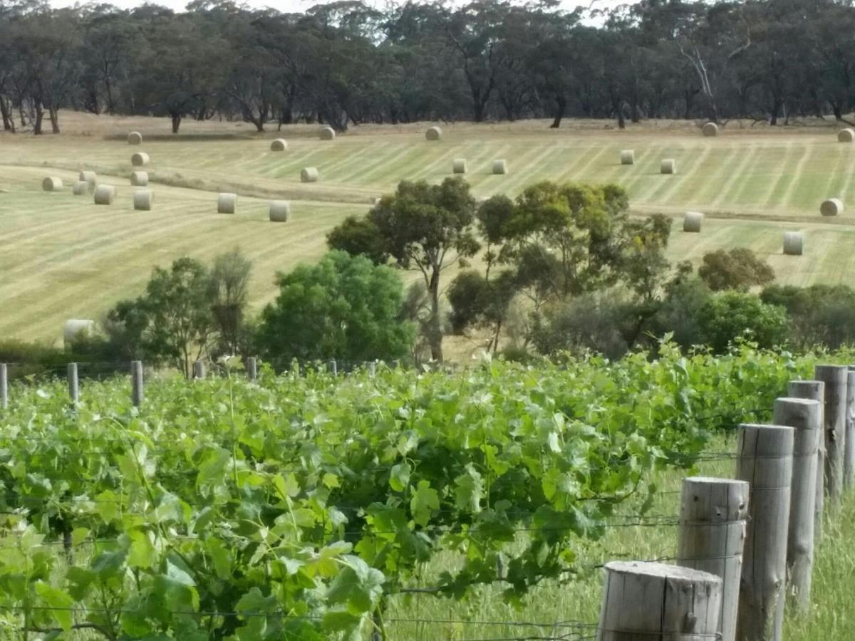 Garden & Field Wines - Estate Vineyard Barossa