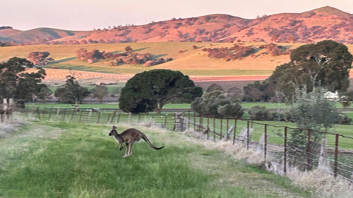 God’s Hill Wines & Ennia Cucina