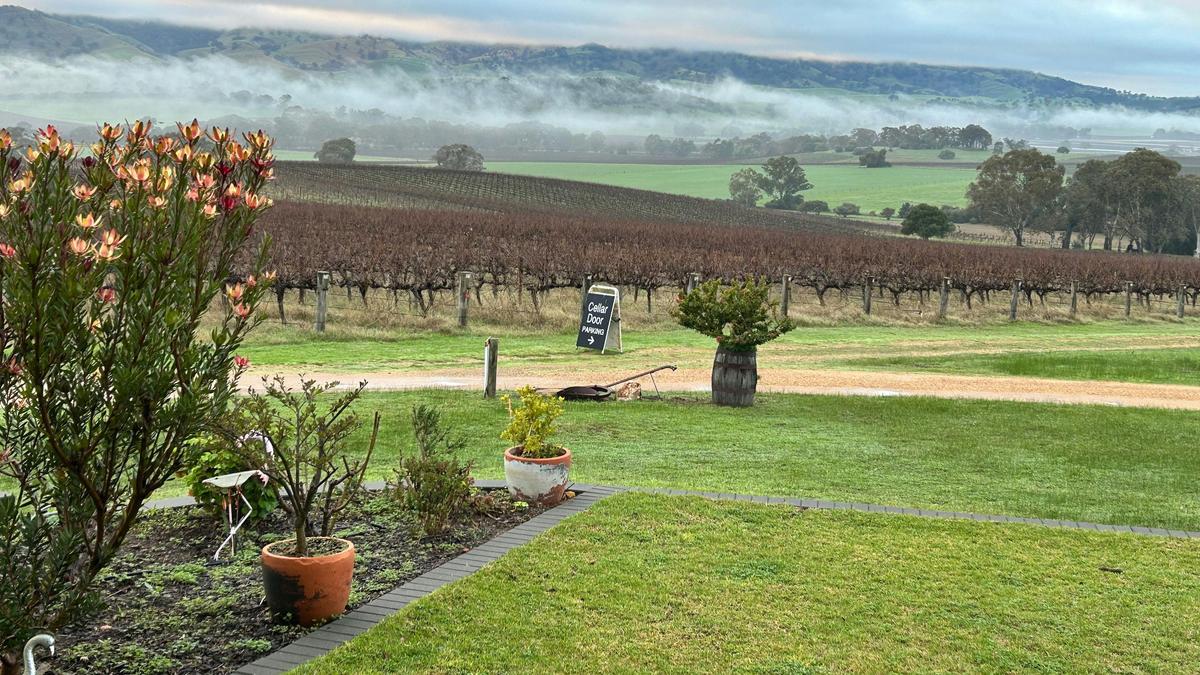 God’s Hill Wines & Ennia Cucina