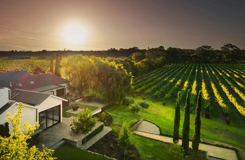 Hewitson Winery Suites